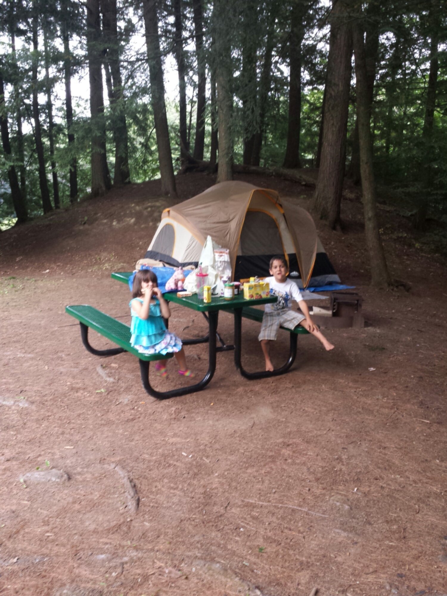 IMG_20130818_190630.jpg image